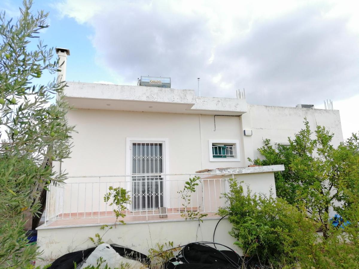 Costasfarmhouse, Pallini, Near Athens Airport Daire Dış mekan fotoğraf
