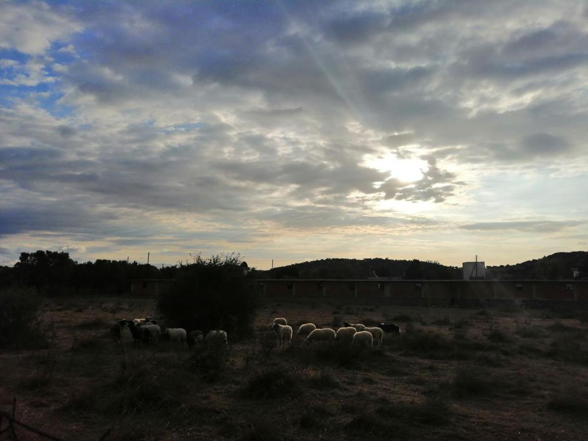 Costasfarmhouse, Pallini, Near Athens Airport Daire Dış mekan fotoğraf