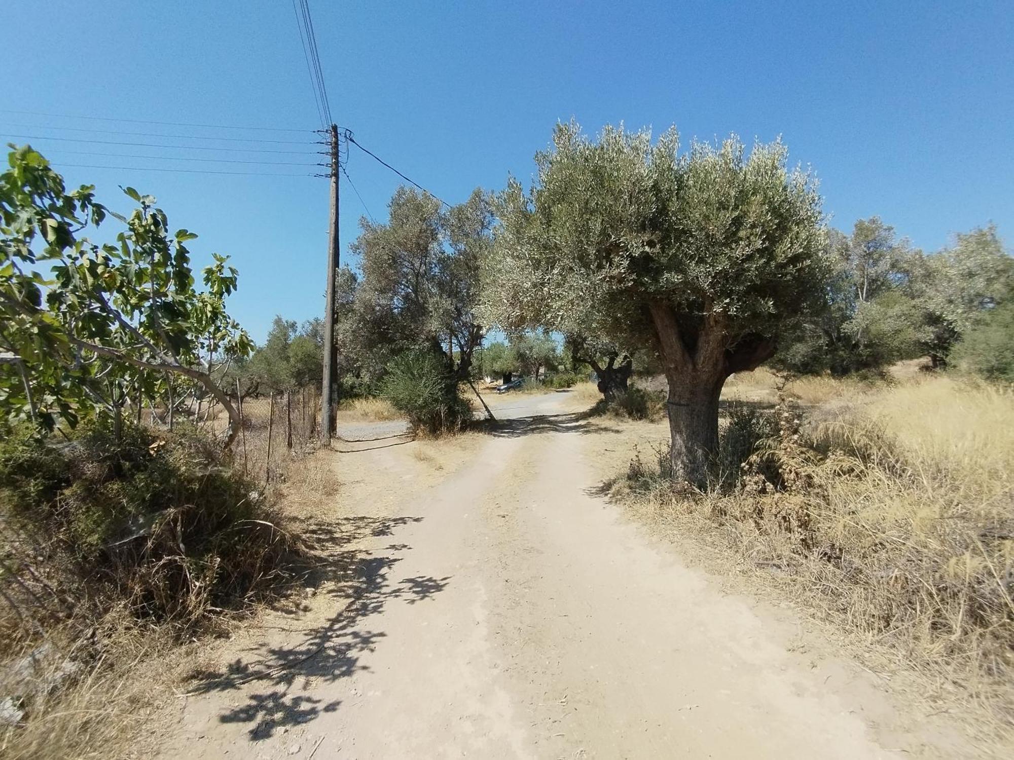 Costasfarmhouse, Pallini, Near Athens Airport Daire Dış mekan fotoğraf
